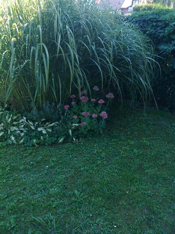 BükCsilla Haus公寓 外观 照片